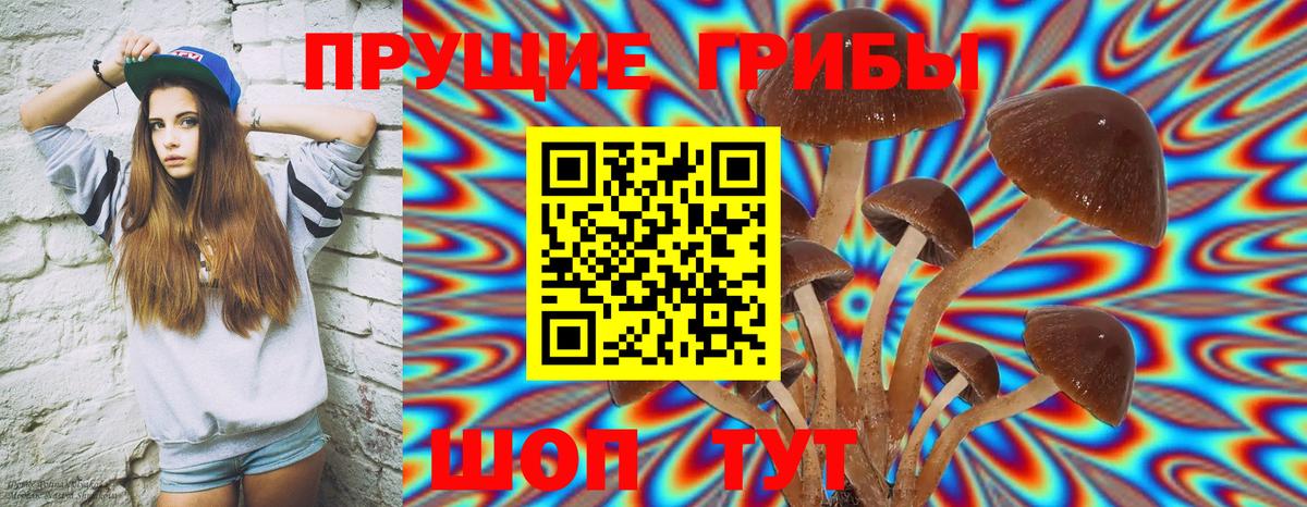 Псилоцибиновые грибы Magic Shrooms  Вход с VPN  Волгодонск 